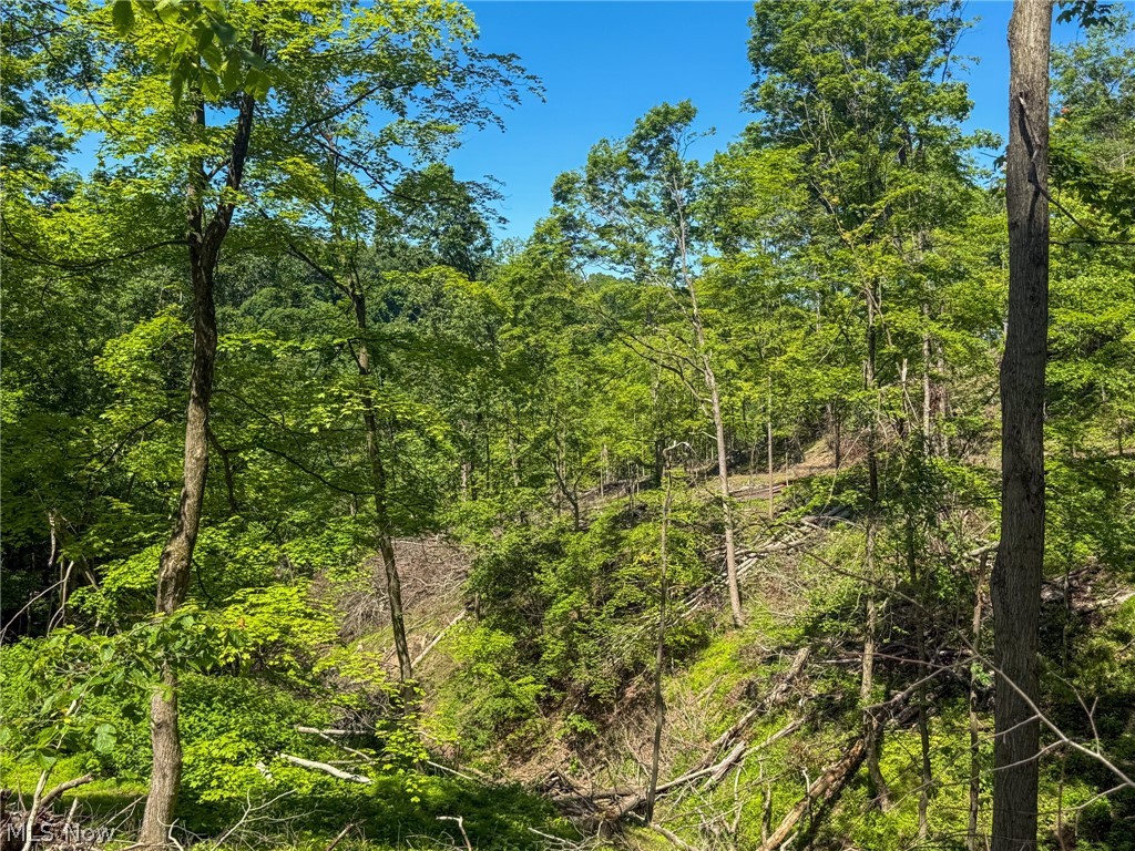 Lot 4 Altamont Road Mingo Junction OH 43938