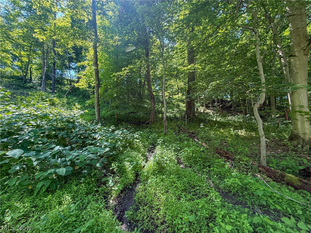 Lot 4 Altamont Road Mingo Junction OH 43938