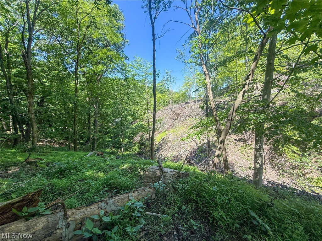 Lot 4 Altamont Road Mingo Junction OH 43938