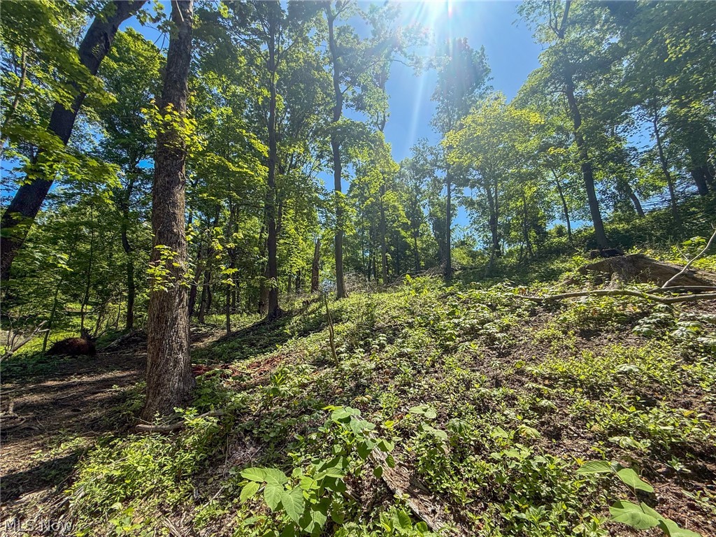 Lot 4 Altamont Road Mingo Junction OH 43938