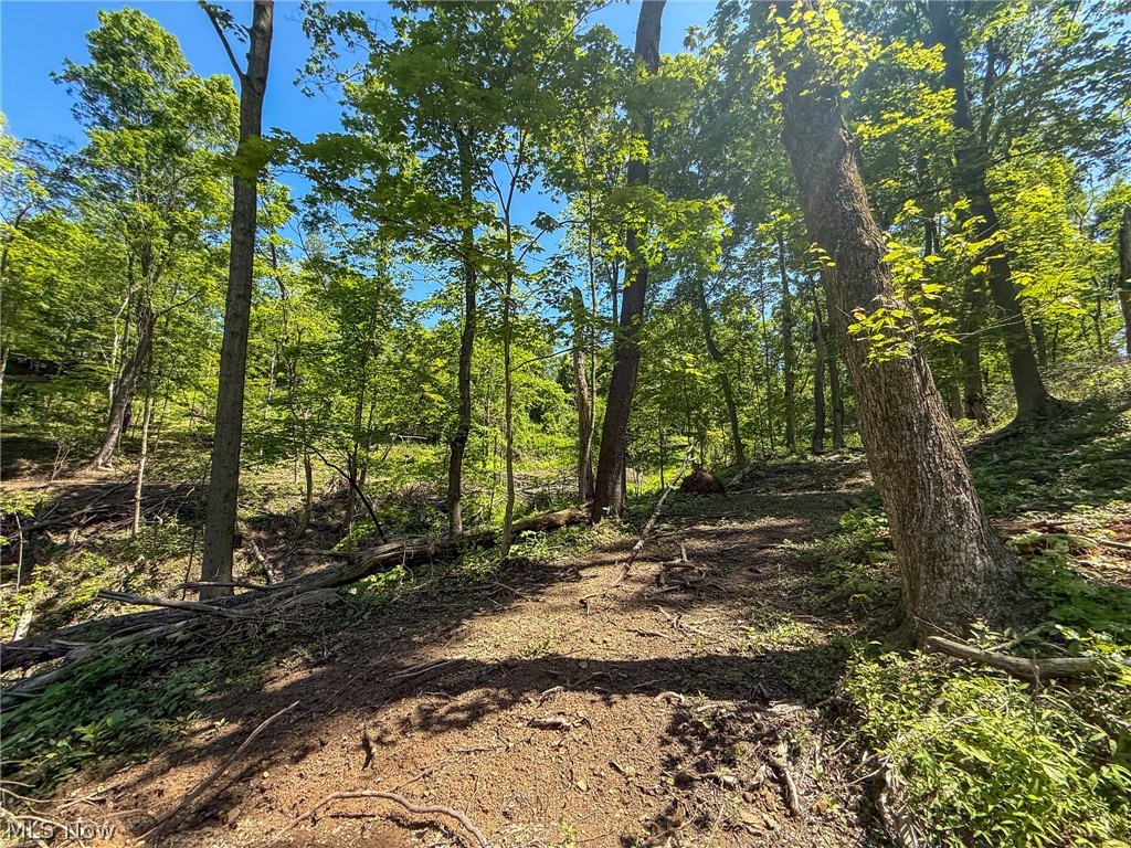 Lot 4 Altamont Road Mingo Junction OH 43938