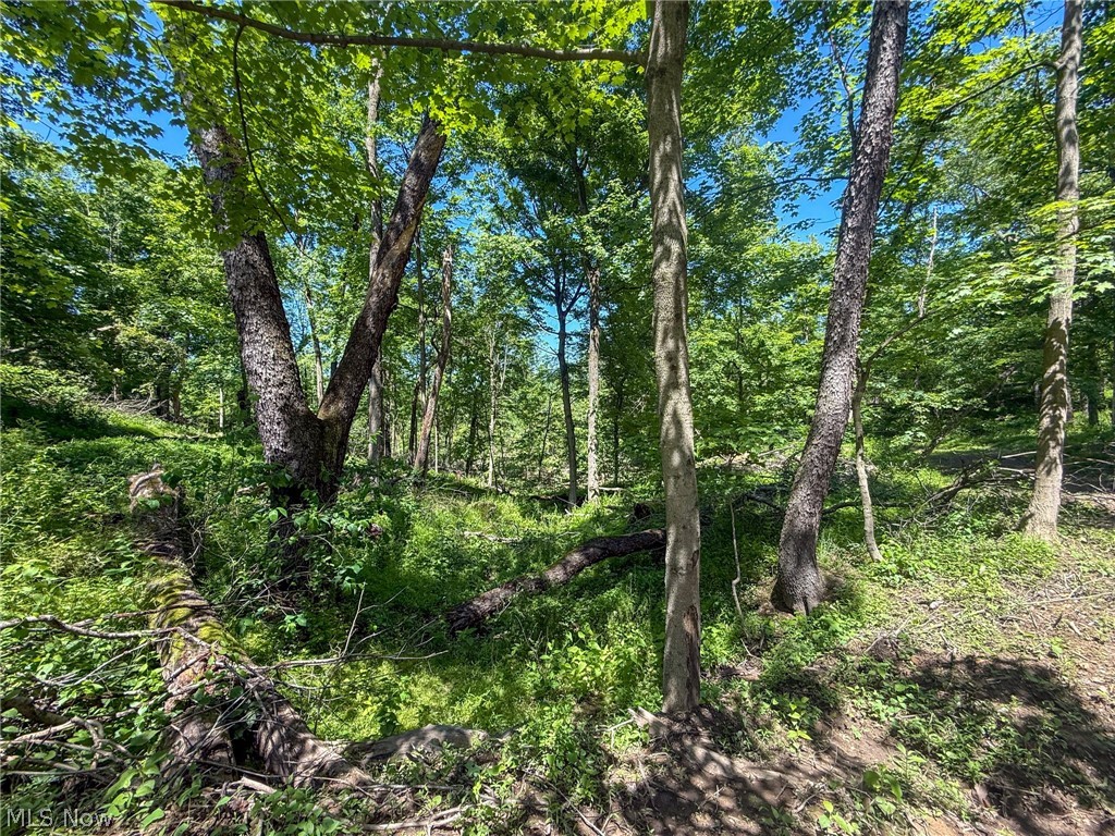 Lot 4 Altamont Road Mingo Junction OH 43938