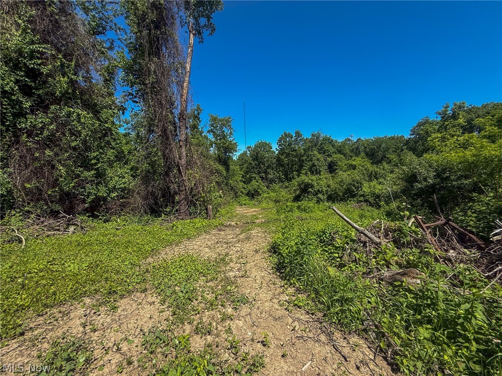 Lot 4 Altamont Road Mingo Junction OH 43938