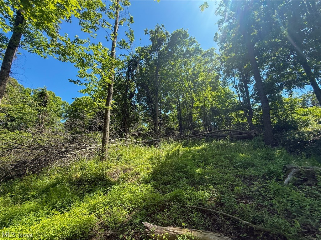 Lot 4 Altamont Road Mingo Junction OH 43938