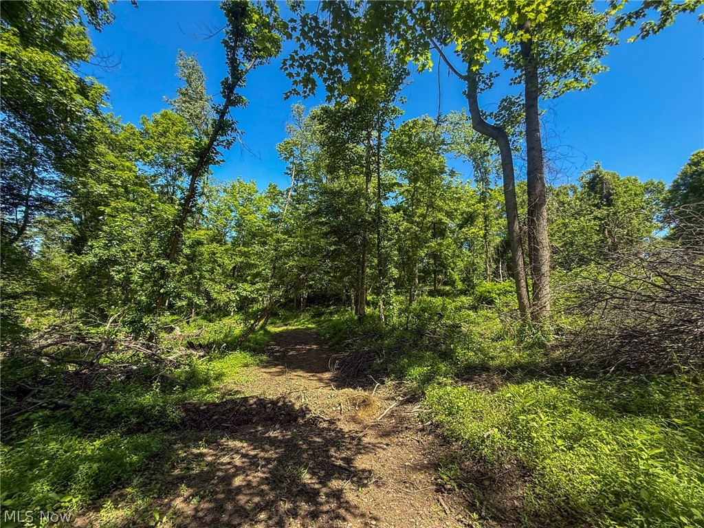 Lot 4 Altamont Road Mingo Junction OH 43938