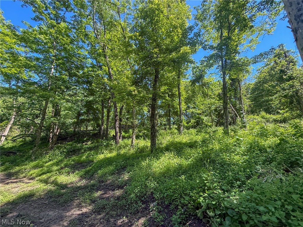 Lot 4 Altamont Road Mingo Junction OH 43938
