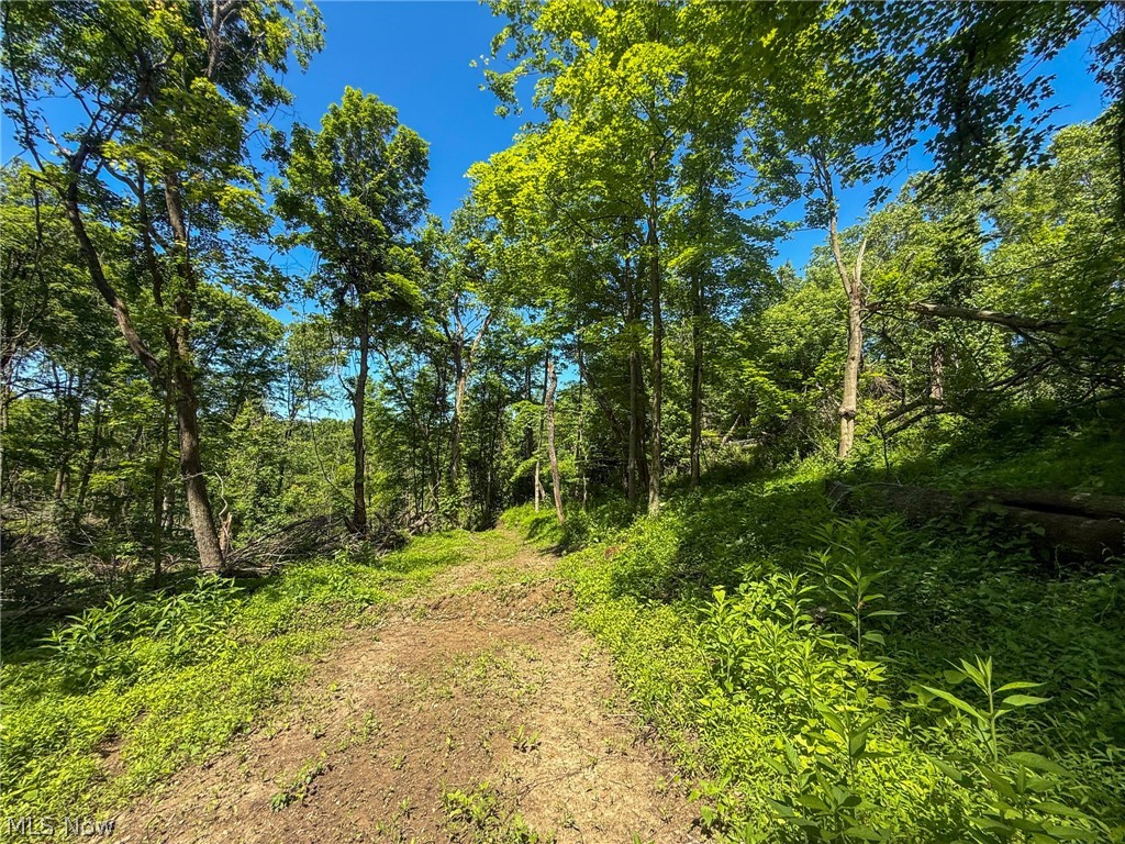 Lot 4 Altamont Road Mingo Junction OH 43938
