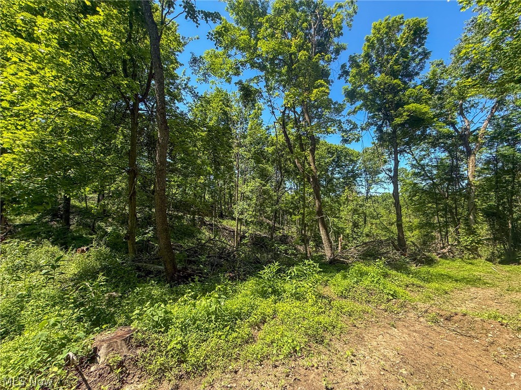 Lot 4 Altamont Road Mingo Junction OH 43938