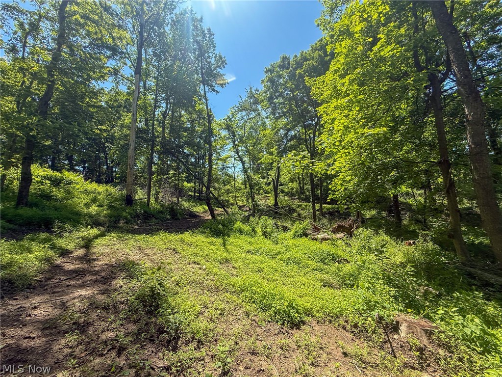 Lot 4 Altamont Road Mingo Junction OH 43938