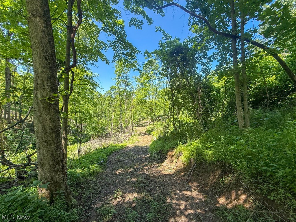 Lot 4 Altamont Road Mingo Junction OH 43938
