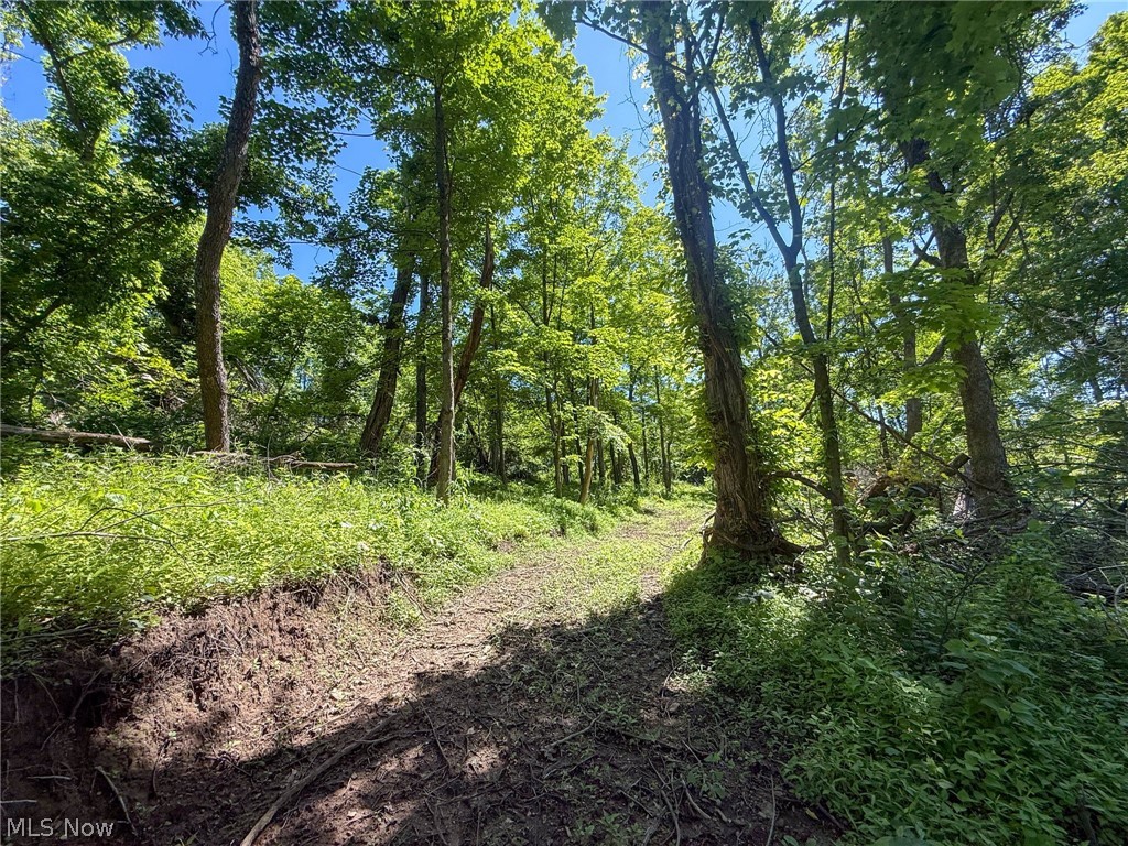 Lot 4 Altamont Road Mingo Junction OH 43938