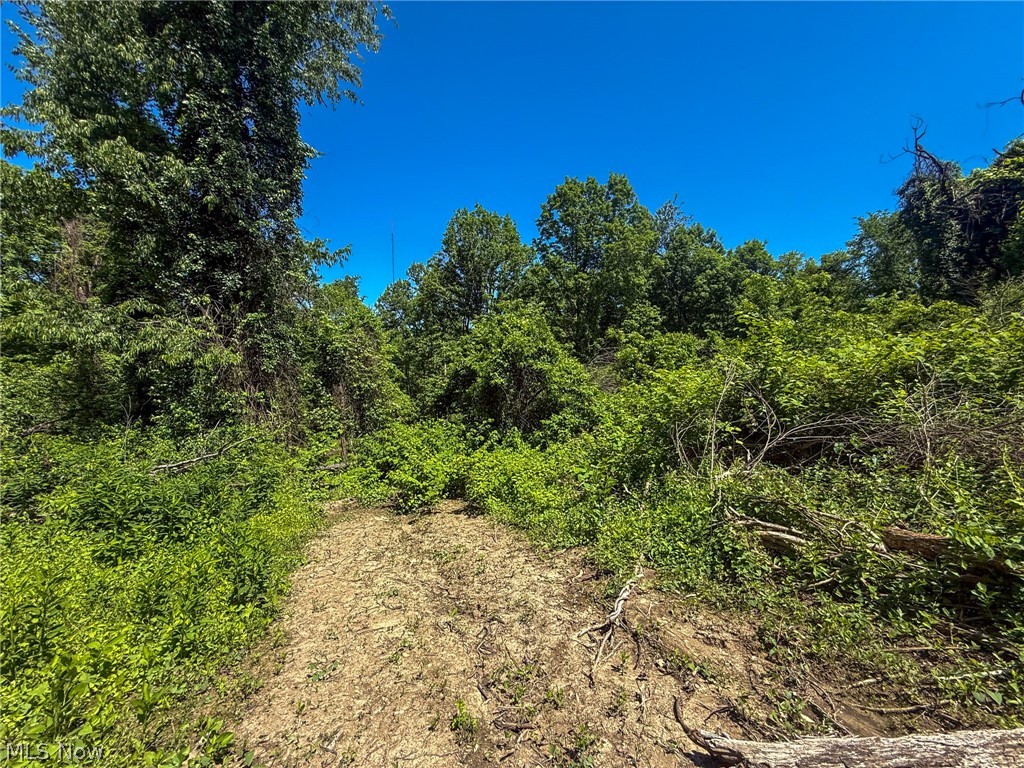 Lot 4 Altamont Road Mingo Junction OH 43938