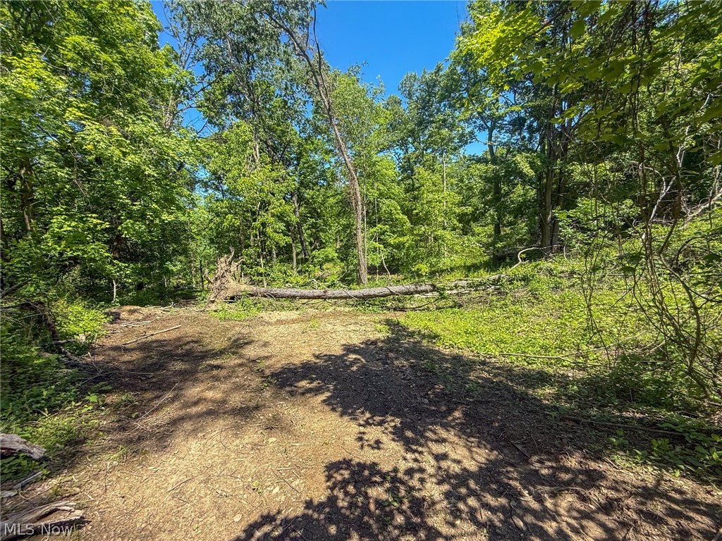 Lot 4 Altamont Road Mingo Junction OH 43938