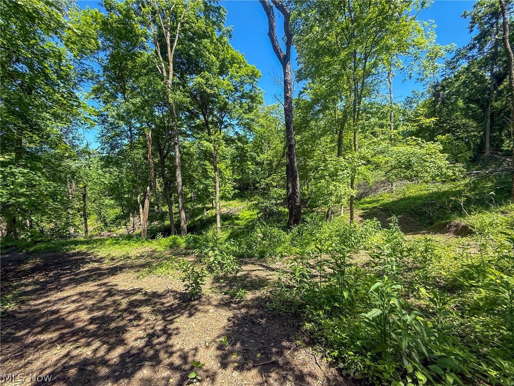 Lot 4 Altamont Road Mingo Junction OH 43938