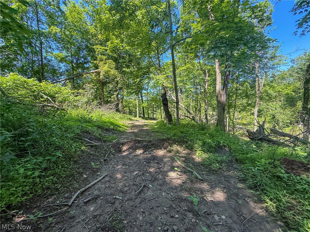 Lot 4 Altamont Road Mingo Junction OH 43938