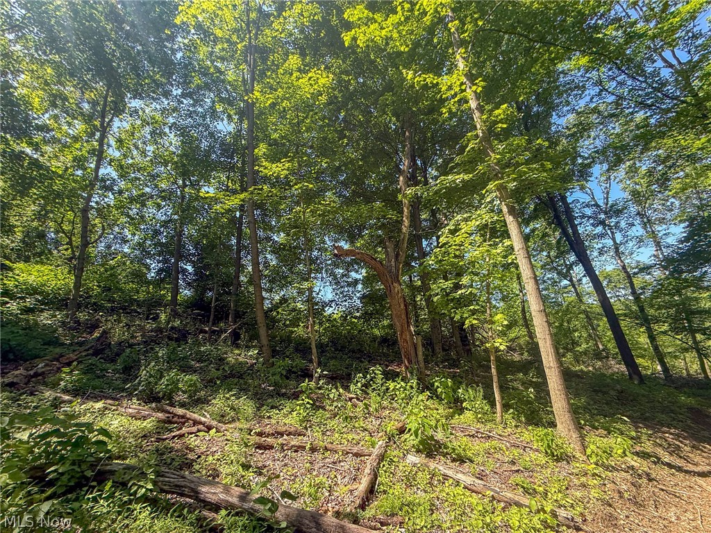 Lot 4 Altamont Road Mingo Junction OH 43938