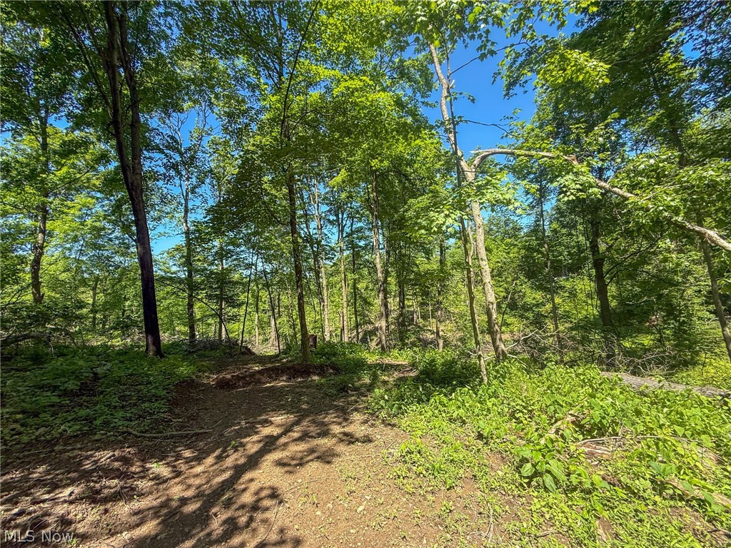 Lot 4 Altamont Road Mingo Junction OH 43938