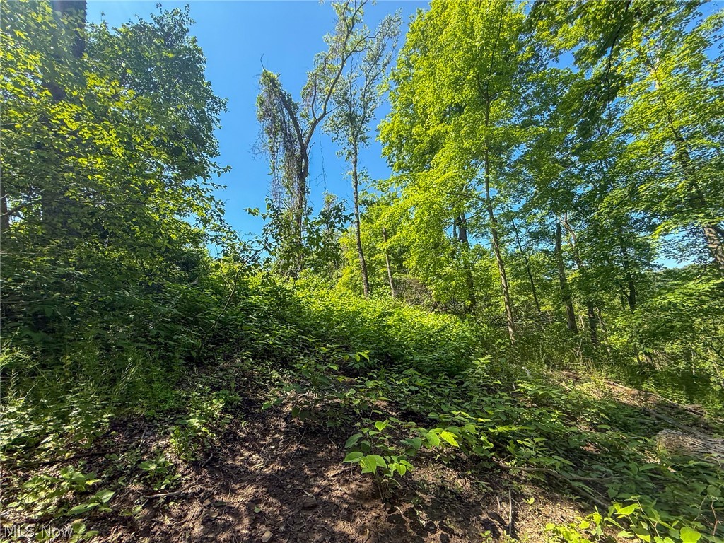 Lot 4 Altamont Road Mingo Junction OH 43938