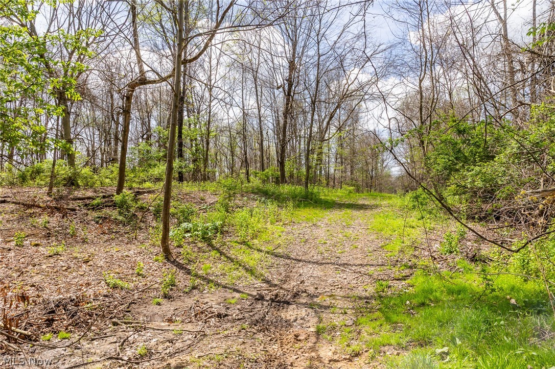 105 W Hanley Road Mansfield OH 44904
