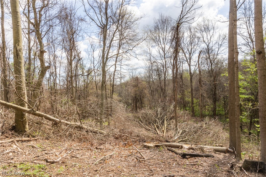 105 W Hanley Road Mansfield OH 44904