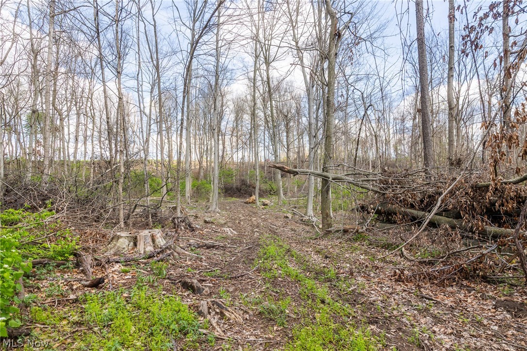 105 W Hanley Road Mansfield OH 44904