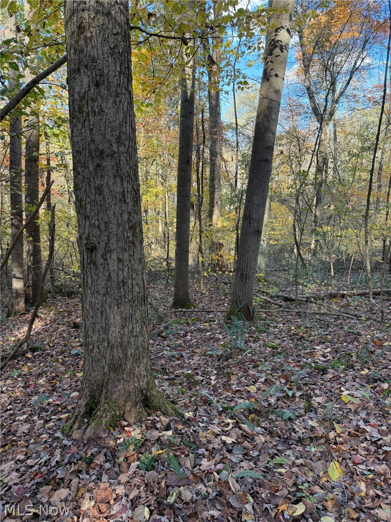 6096 Antigua Road SW Sherrodsville OH 44675