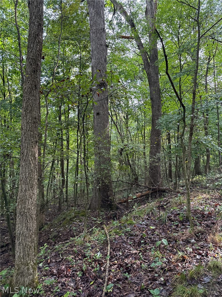 6096 Antigua Road SW Sherrodsville OH 44675