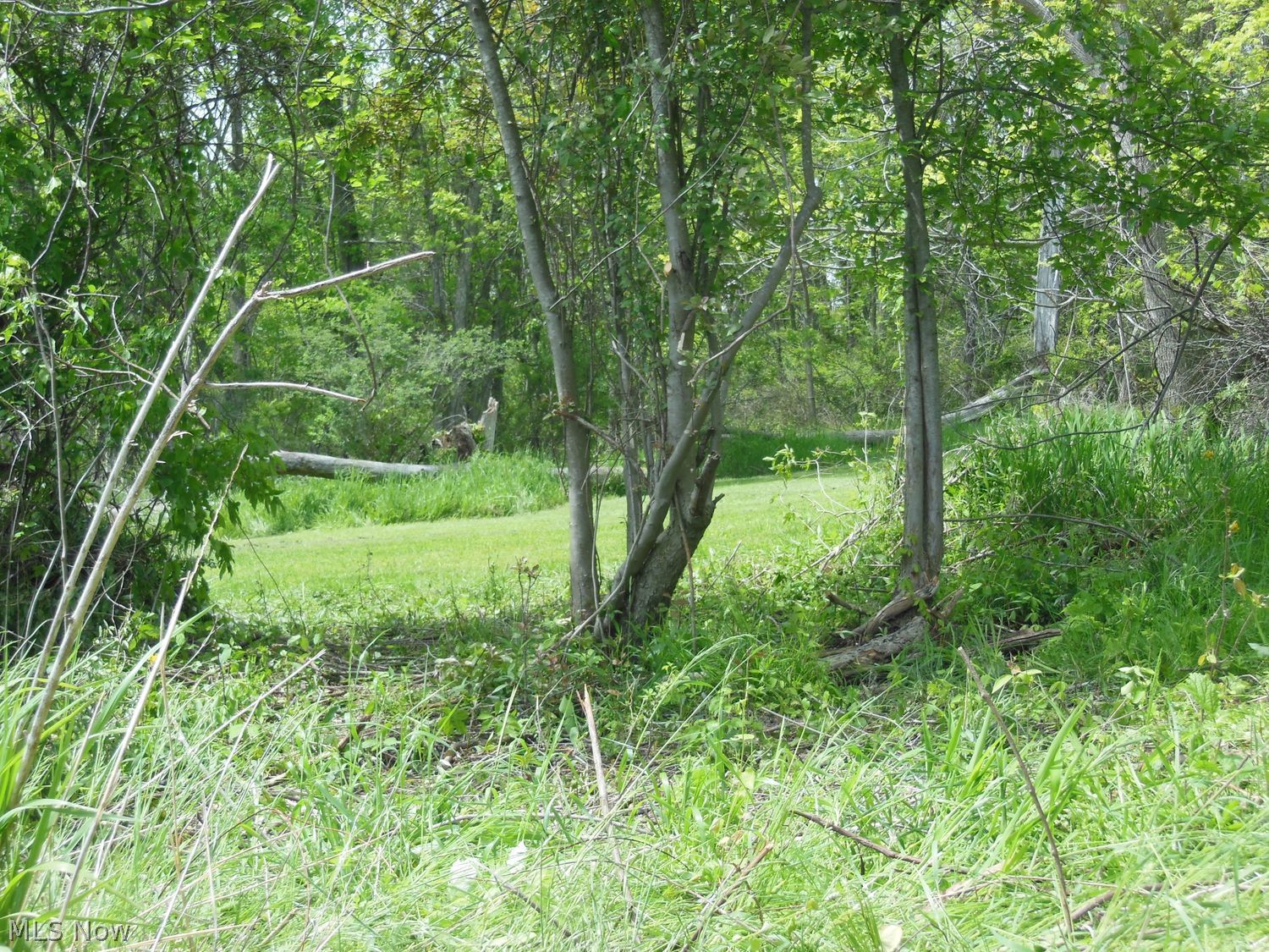 V/l Kerns Drive NE Bolivar OH 44612