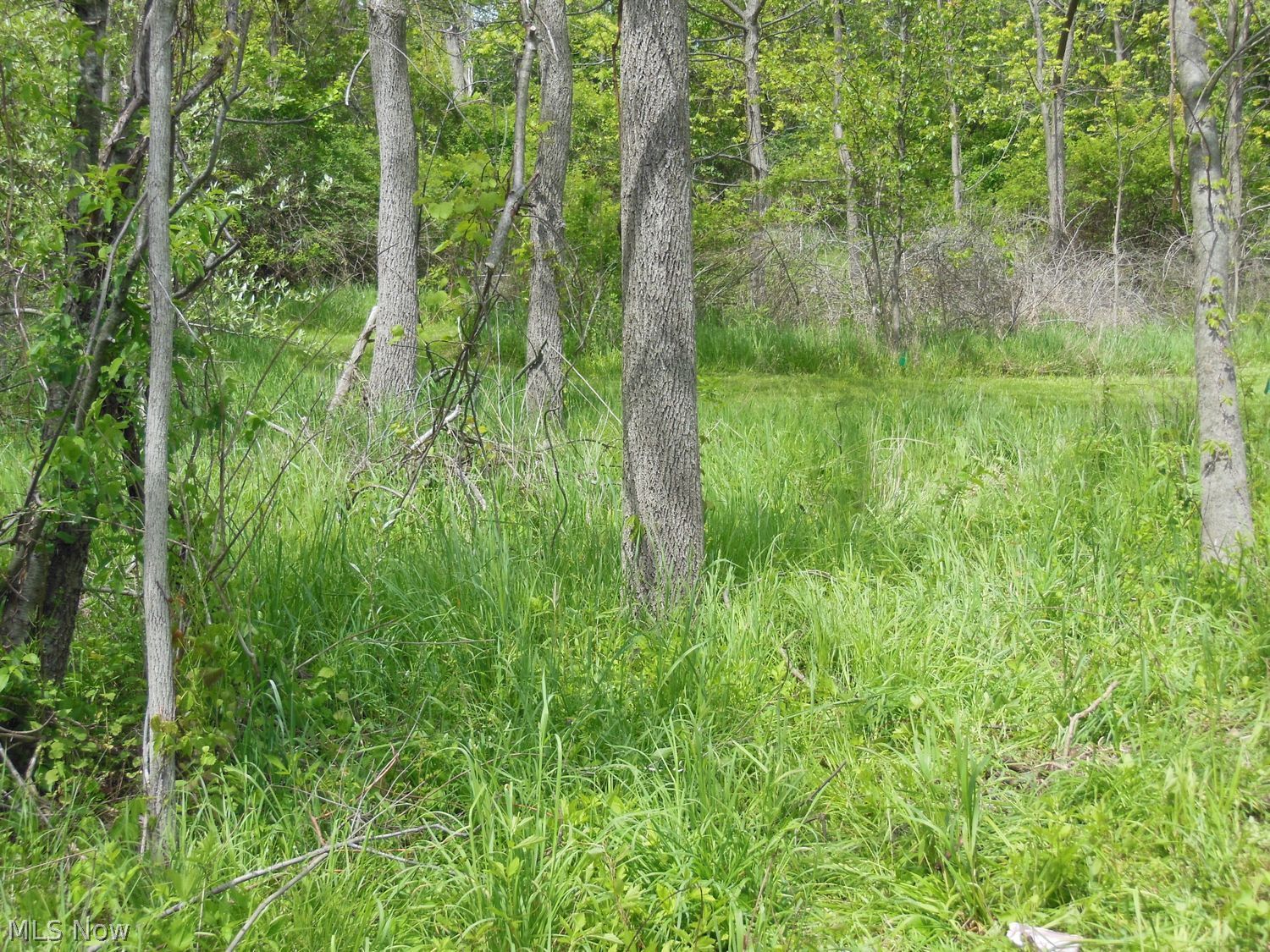 V/l Kerns Drive NE Bolivar OH 44612
