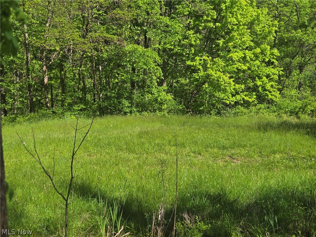 Hill Lane Mcconnelsville OH 43756