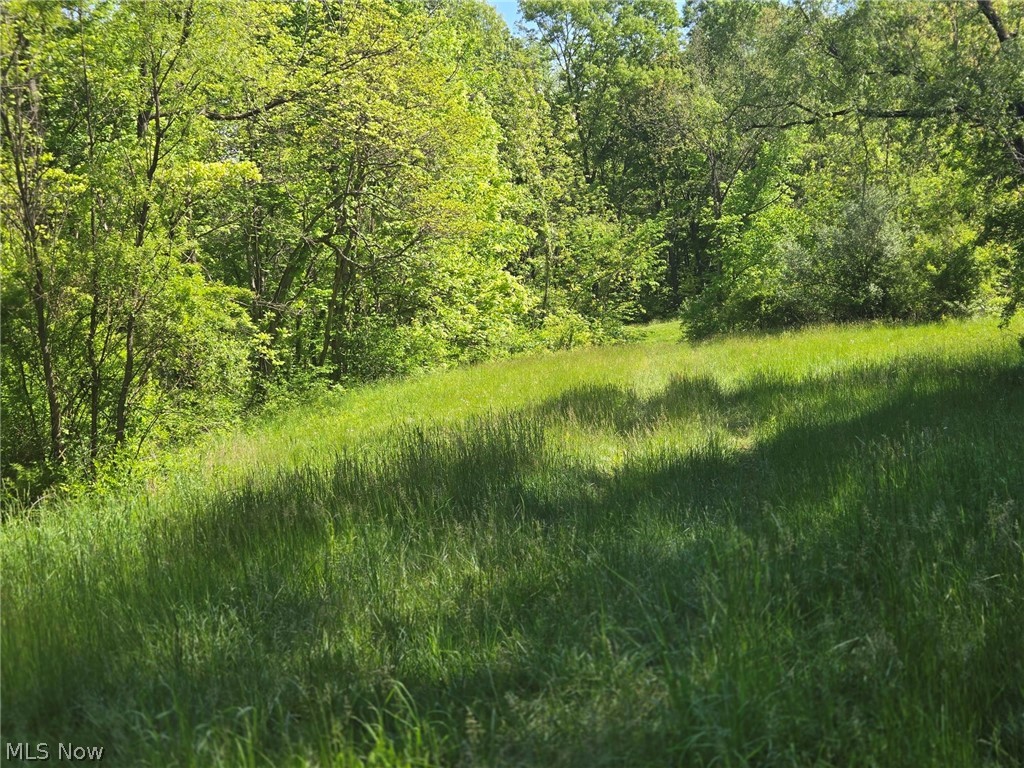 Hill Lane Mcconnelsville OH 43756