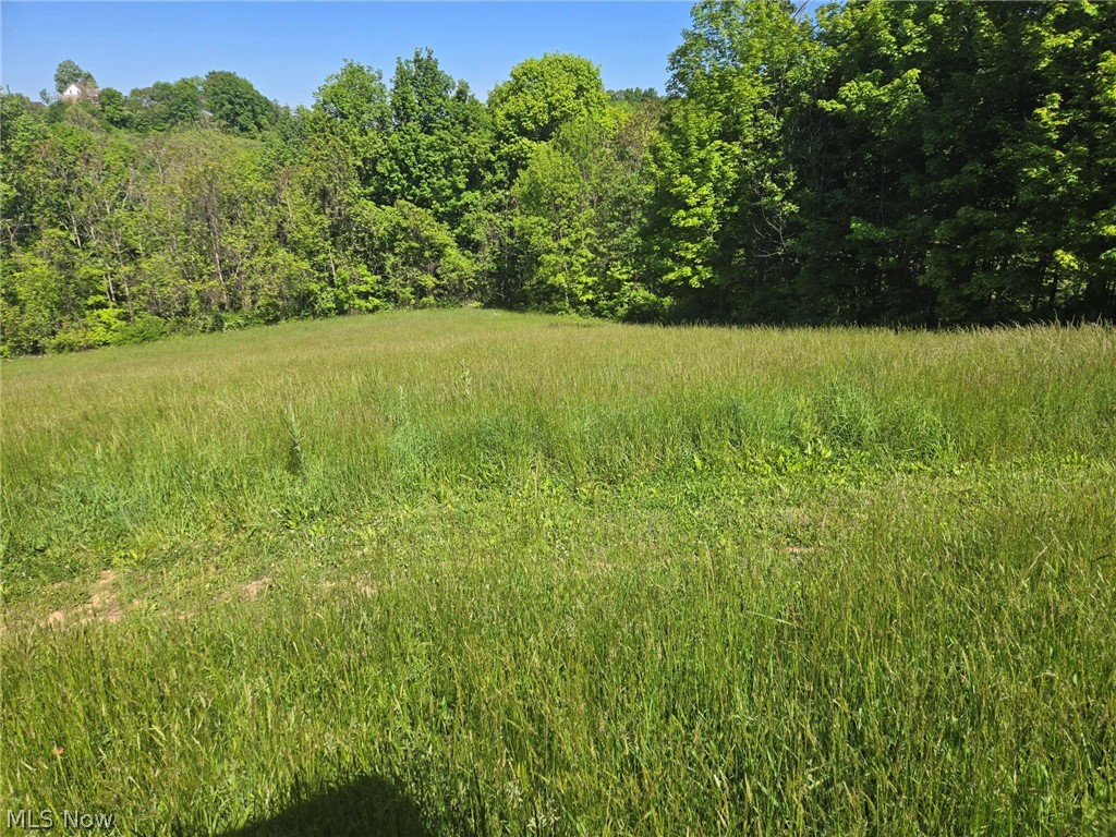 Hill Lane Mcconnelsville OH 43756