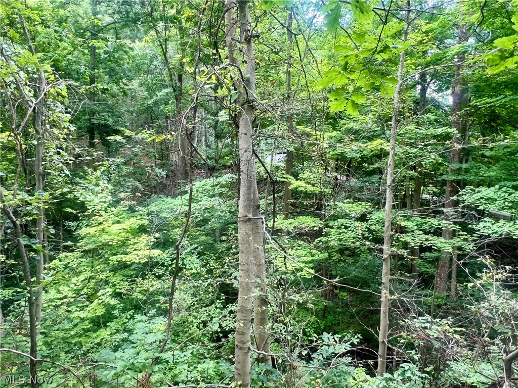 V/l Tibbetts Road Kirtland OH 44094