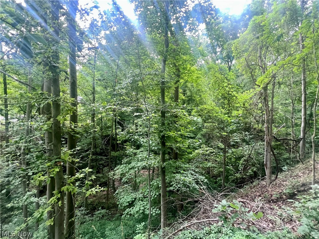 V/l Tibbetts Road Kirtland OH 44094