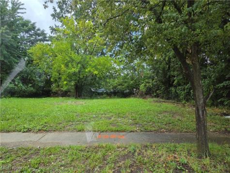 1344 E 93rd Street Cleveland OH 44106