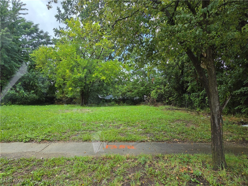 1344 E 93rd Street Cleveland OH 44106