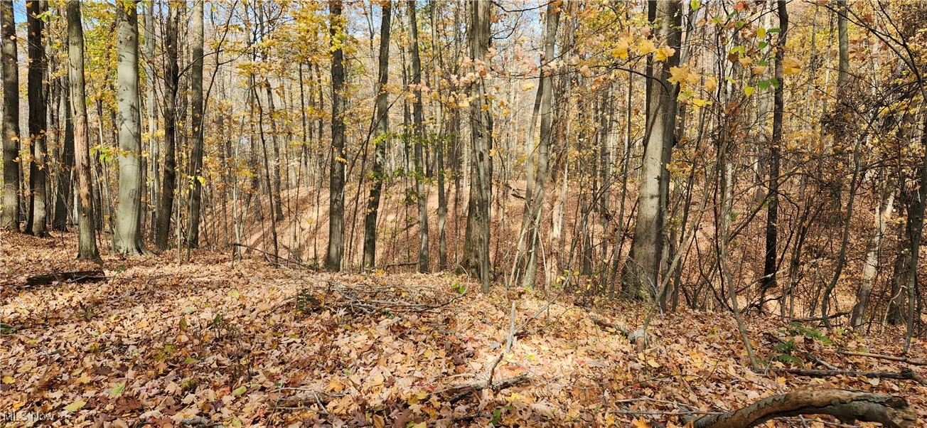 Balch Madison OH 44057