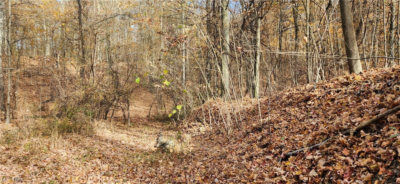 Balch Madison OH 44057