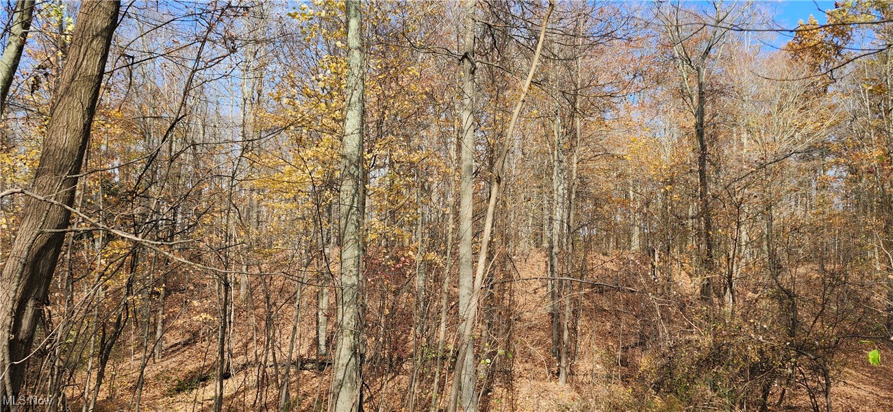 Balch Madison OH 44057