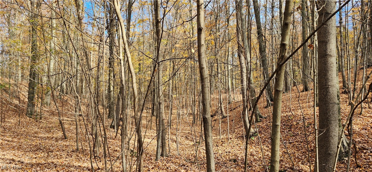 Balch Madison OH 44057