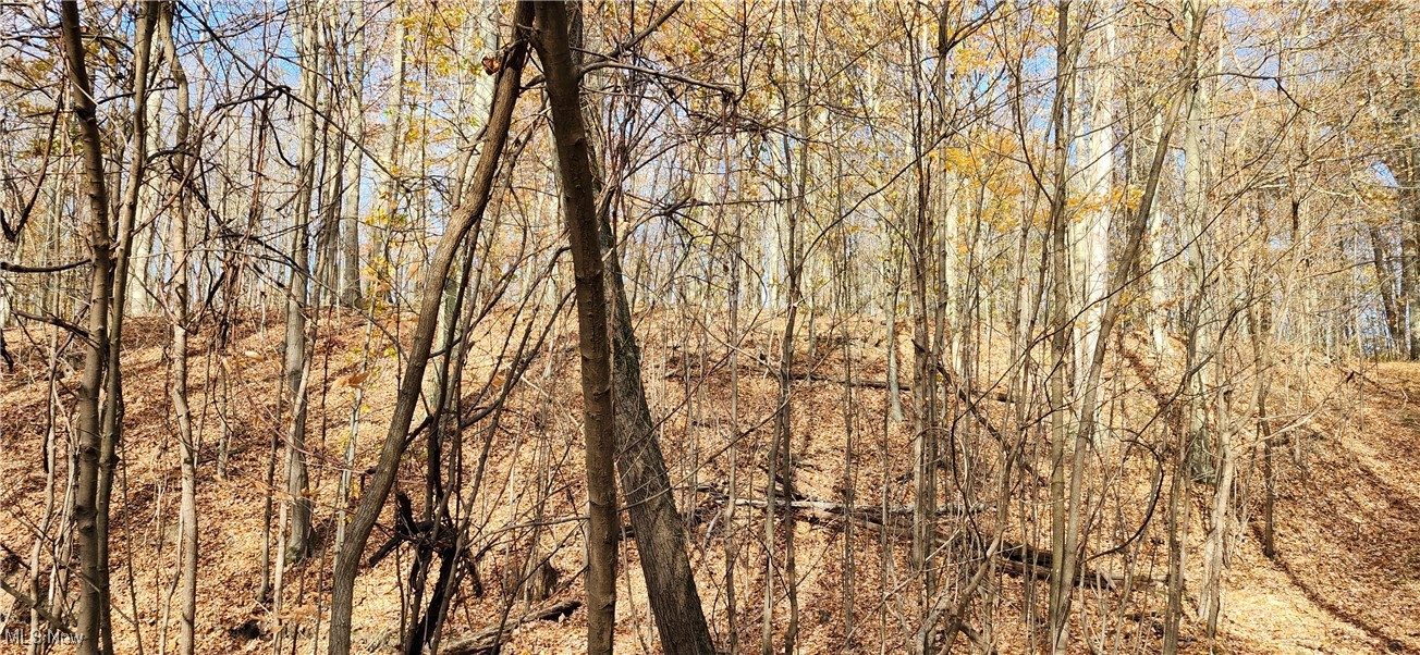 Balch Madison OH 44057