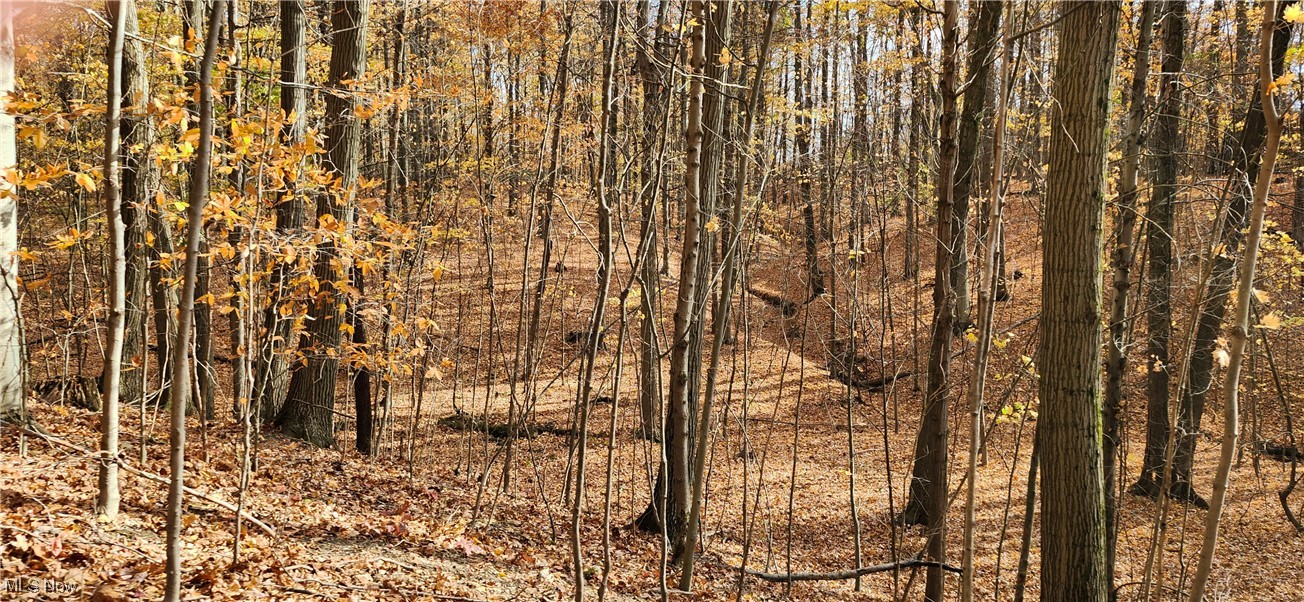 Balch Madison OH 44057