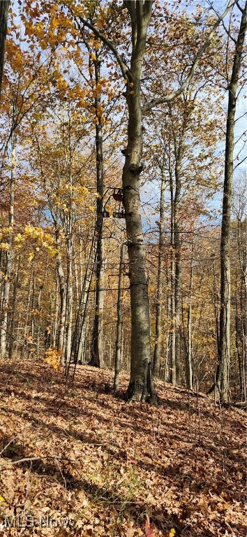 Balch Madison OH 44057