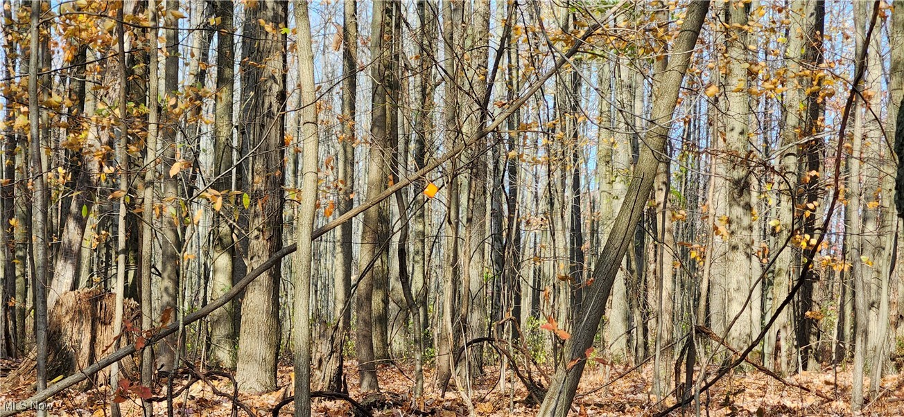 Balch Madison OH 44057