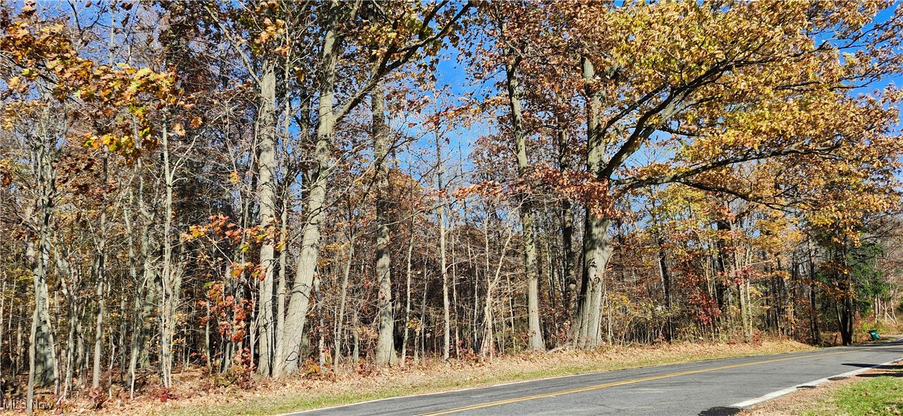 Balch Madison OH 44057