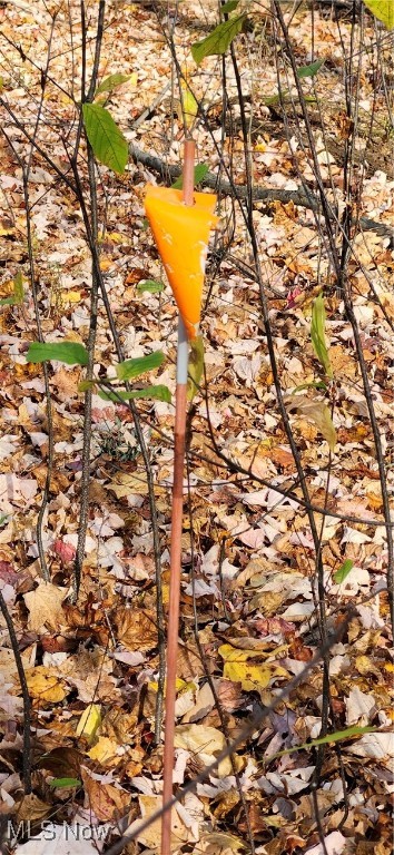 Balch Madison OH 44057