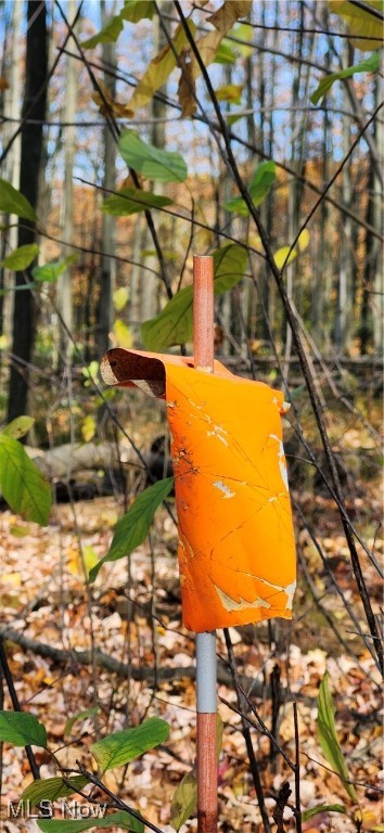 Balch Madison OH 44057