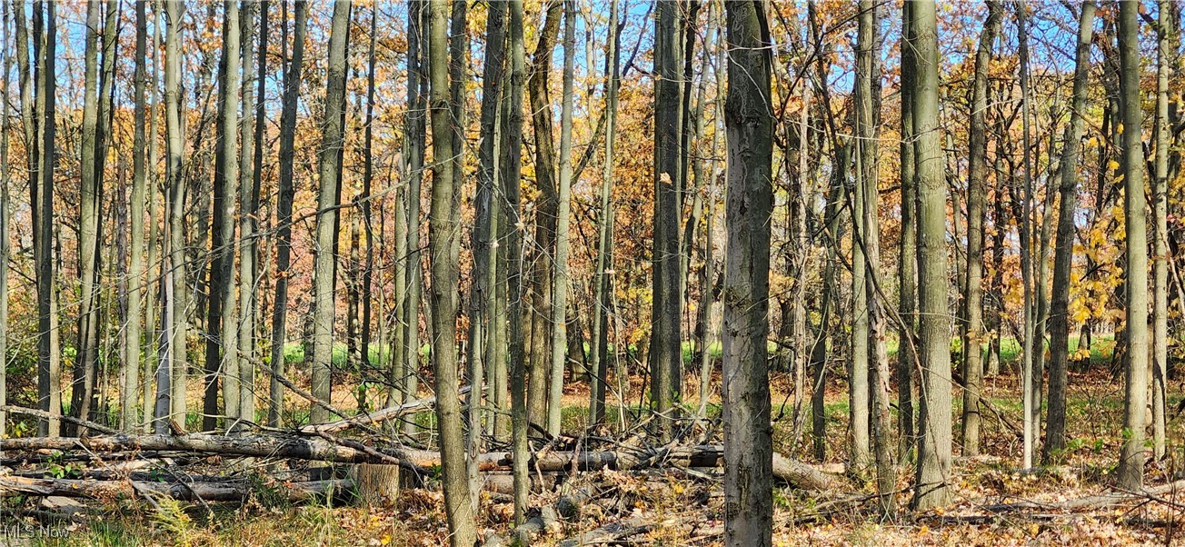 Balch Madison OH 44057