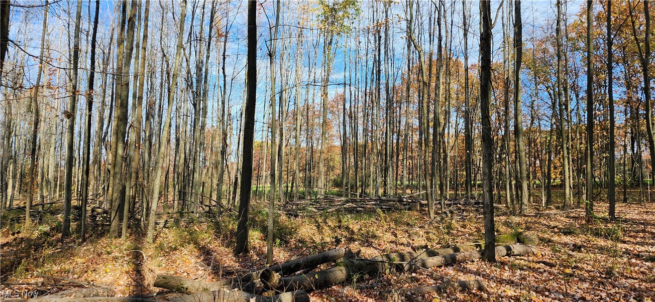 Balch Madison OH 44057