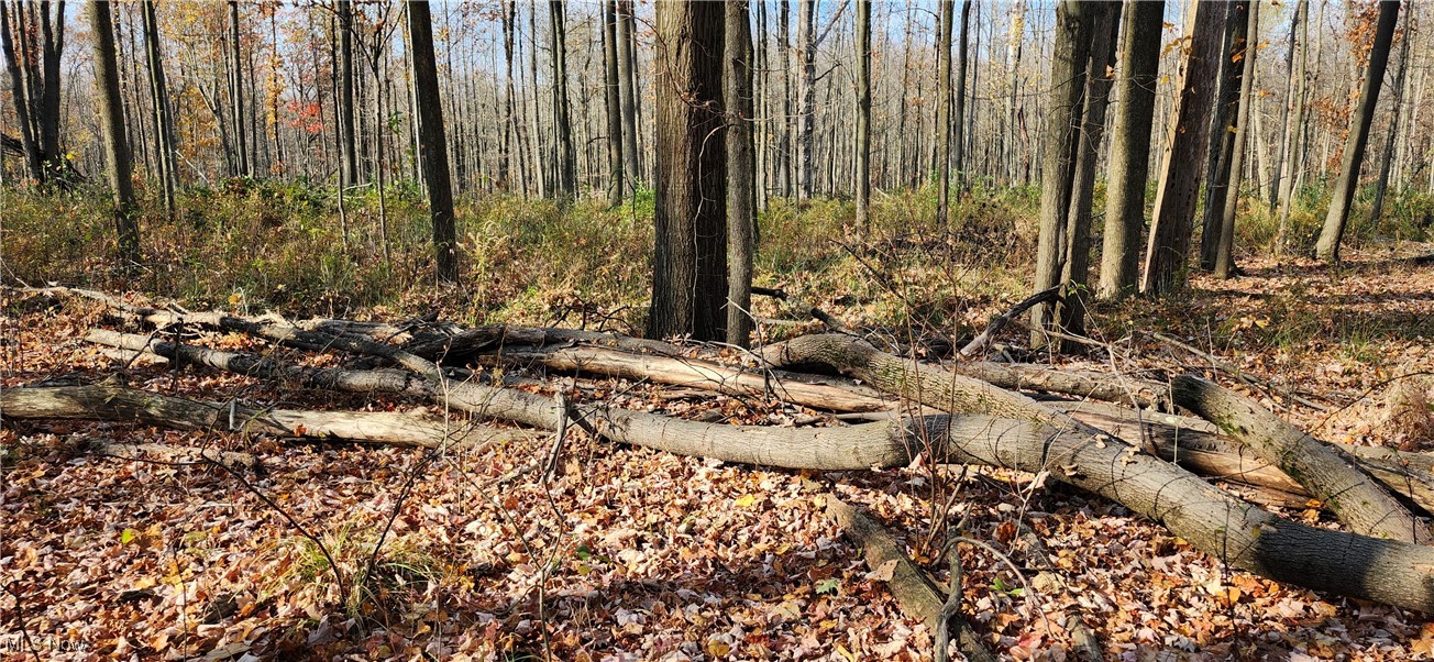 Balch Madison OH 44057